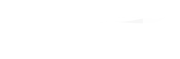 autofluchoscoches.com
